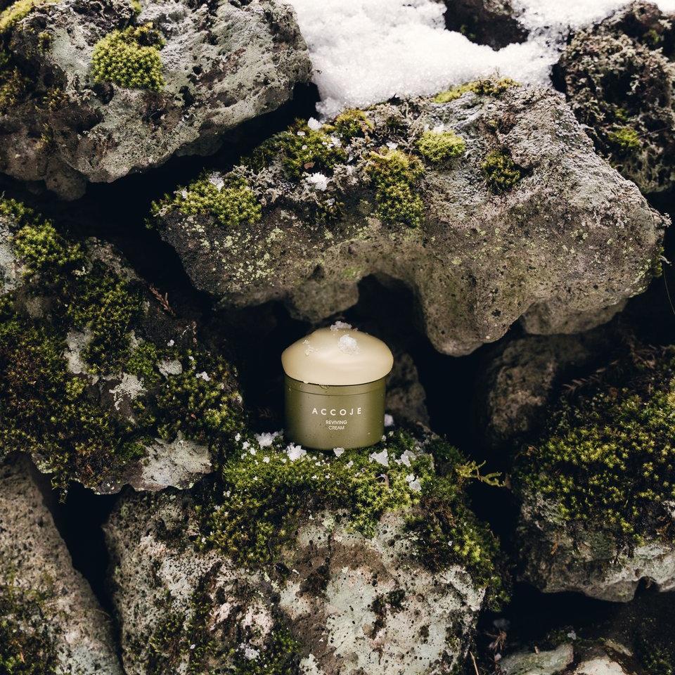 Accoje Reviving Cream (50ml) - K Beauty On